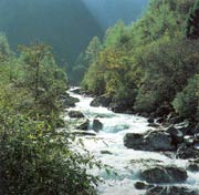 The Rushing Water of Pitiao River